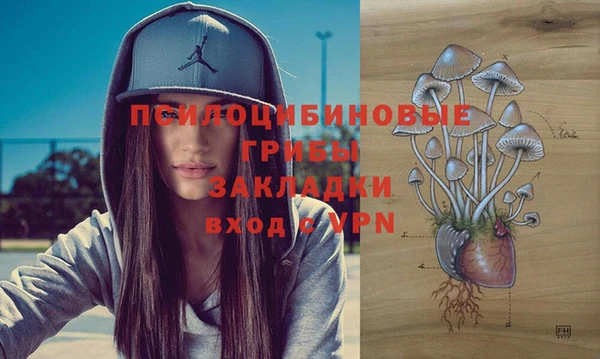 кристаллы Вяземский
