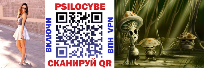 KRAKEN ссылка  Вятские Поляны  Галлюциногенные грибы MAGIC MUSHROOMS 