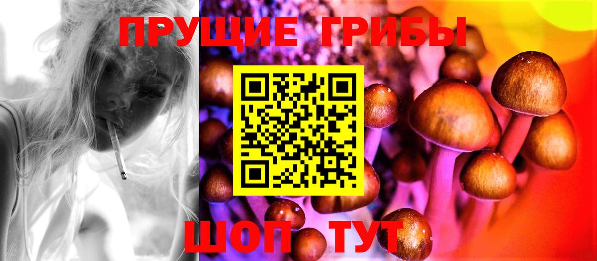 Вятские Поляны  Галлюциногенные грибы прущие грибы  Вход с VPN 