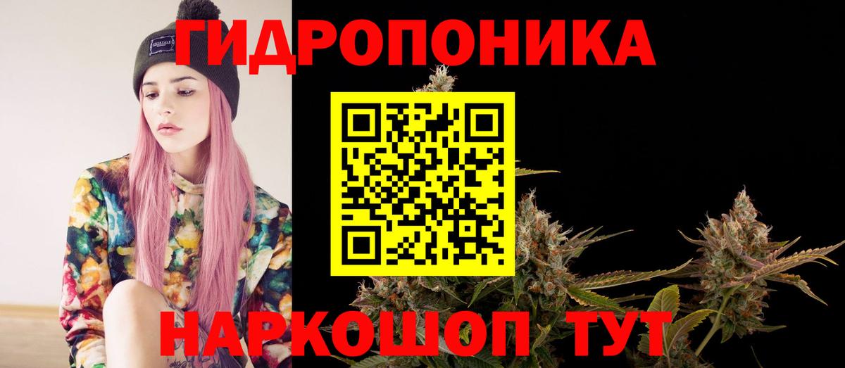 Вятские Поляны  Канабис Amnesia  Вход с VPN  Каннабис White Widow  Марихуана Ganja 